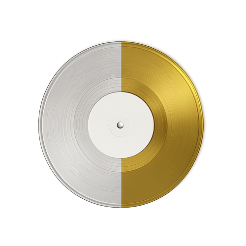 12″ Mirror Gold Vinyl Record – Playable Trophy Edition (33⅓ RPM, Custom Finishes Available) Lathe Cut Vinyl Records