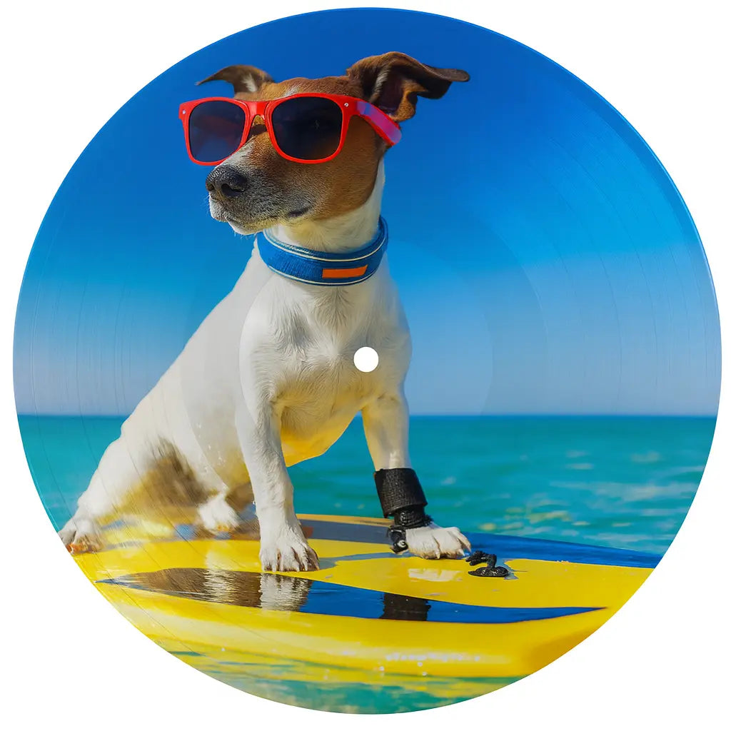 Lathe Cut Picture Discs