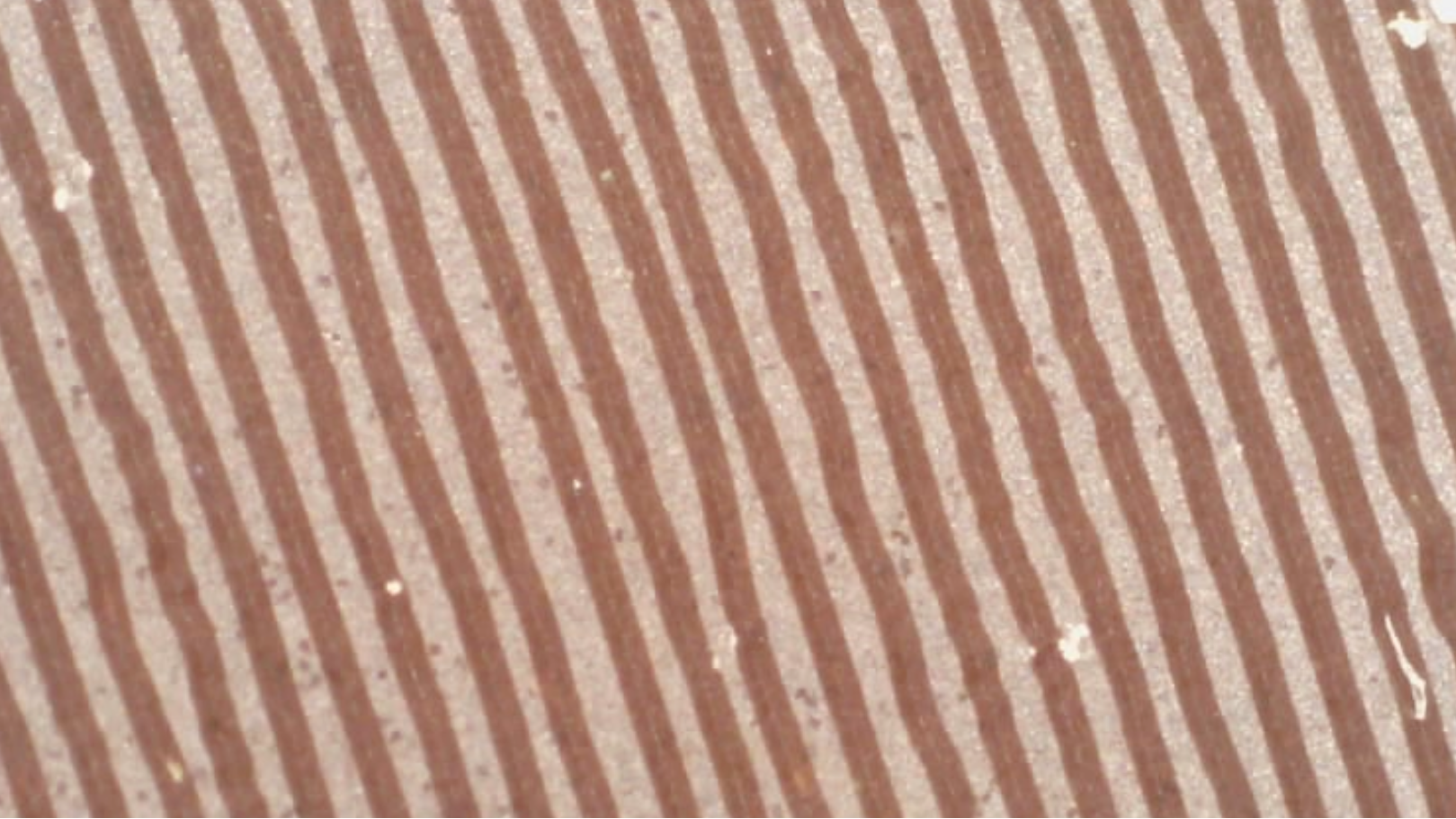 7" Chocolate Vinyl Record