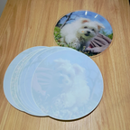 Lathe Cut Picture Discs