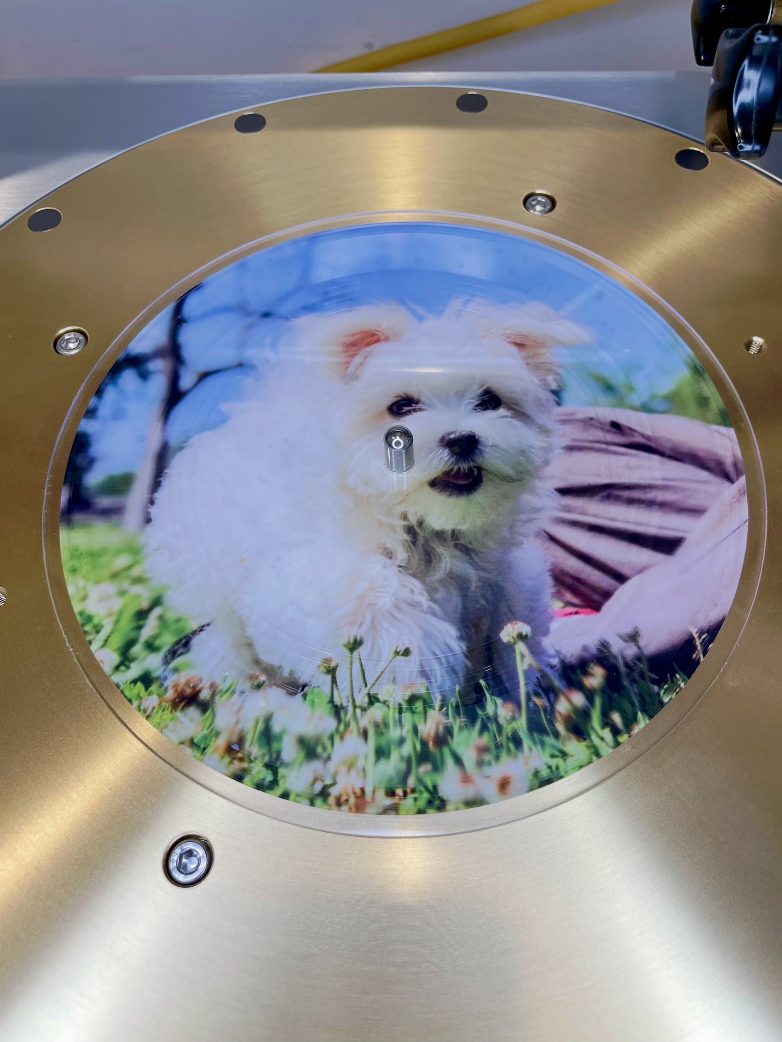 Lathe Cut Picture Discs